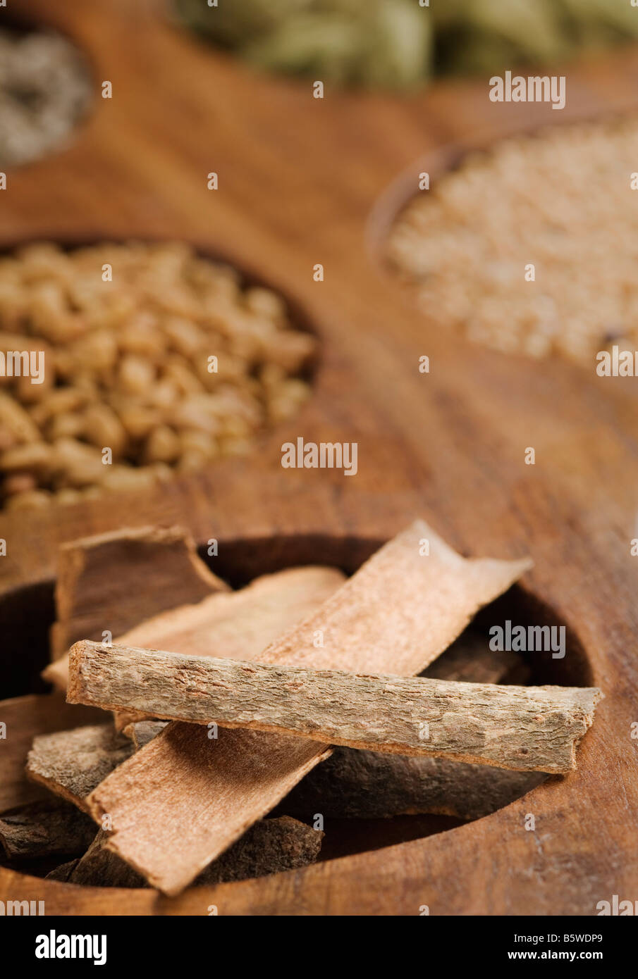 Close-up of cinnamon bark in a spice container Stock Photo