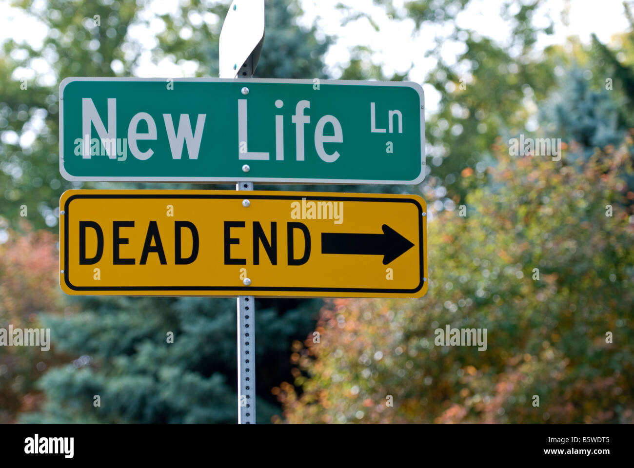 New Life street sign with Dead End sign below Stock Photo