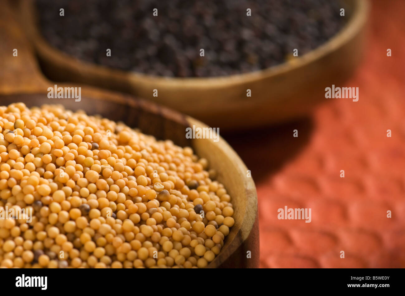 Yellow and black mustard seeds in ladles Stock Photo Alamy