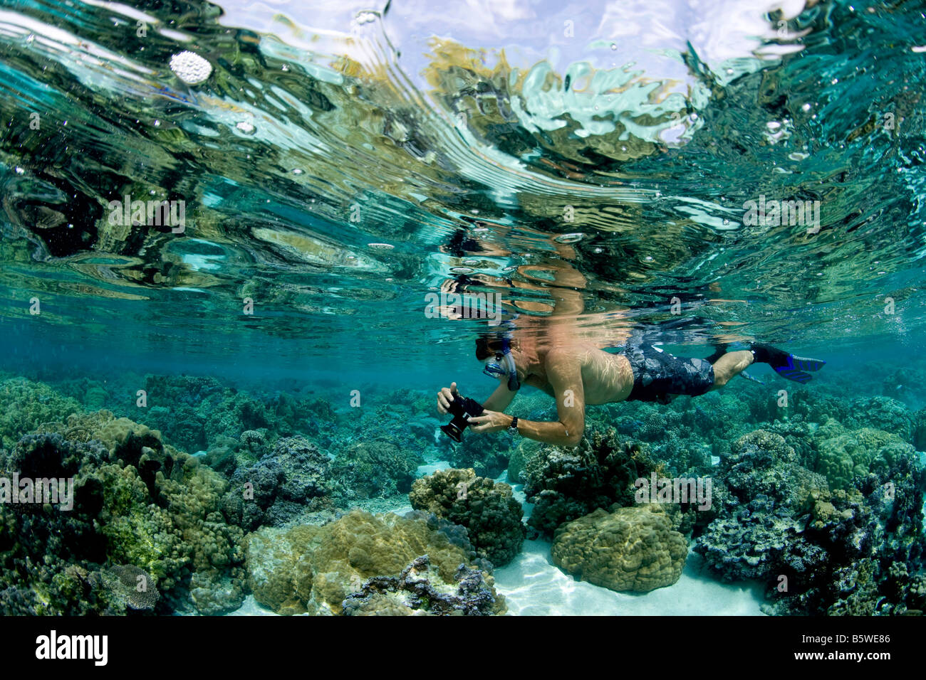 Snorkeler south pacific hi-res stock photography and images - Alamy