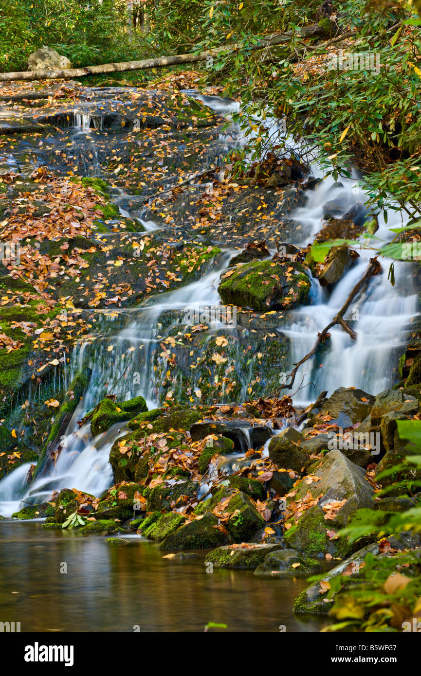 Rapid stream mountain water hi-res stock photography and images - Alamy