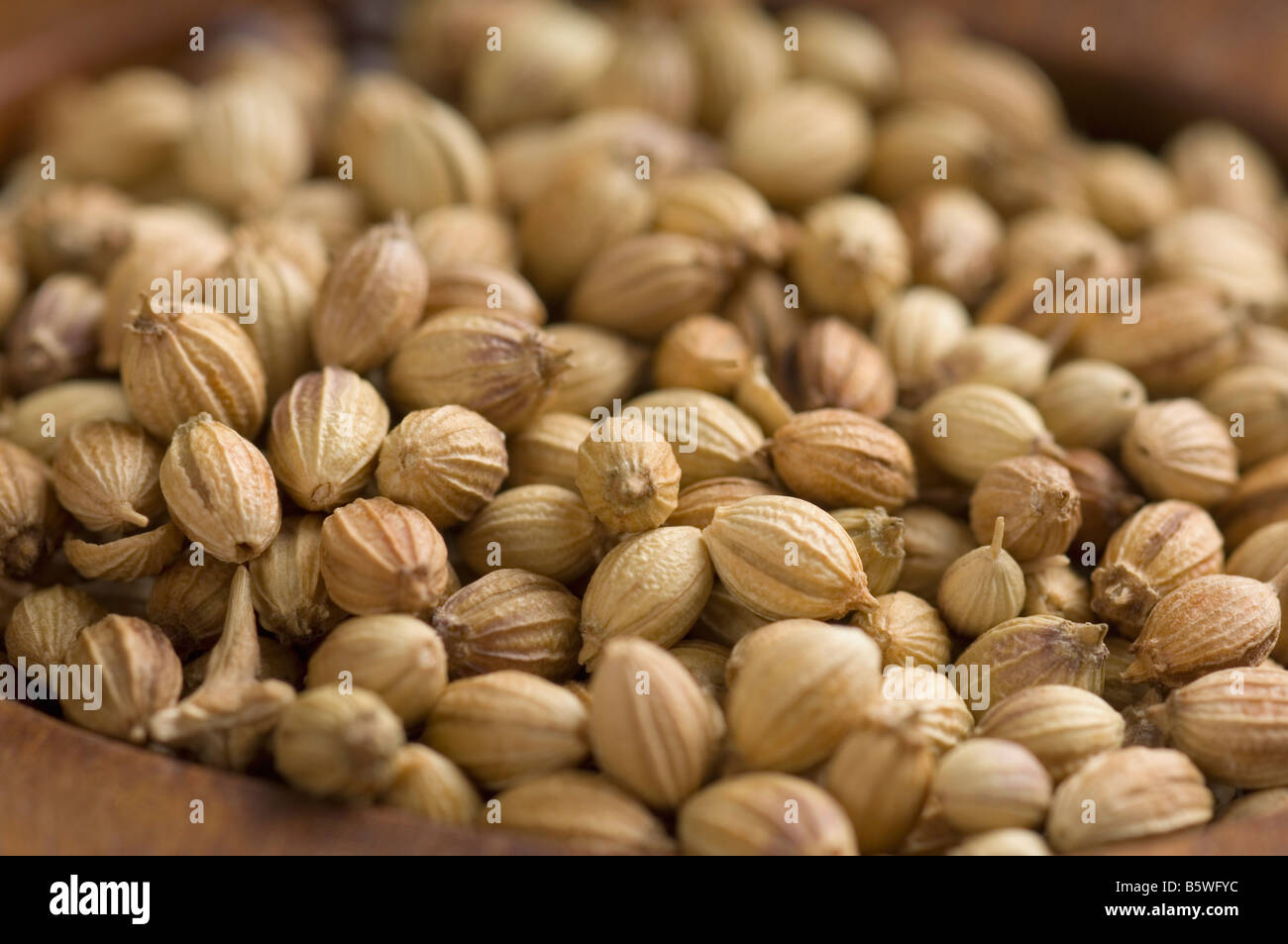 Dhania saboot hires stock photography and images Alamy