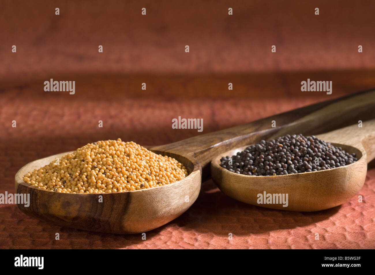 Yellow and black mustard seeds in ladles Stock Photo Alamy