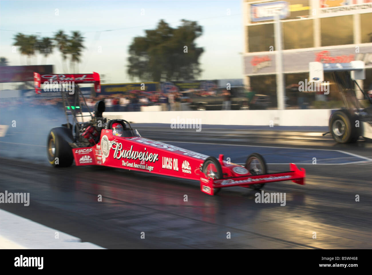 Brandon Bernstein's 'Budweiser' NHRA Top Fuel dragster - taking off from the start line. Stock Photo