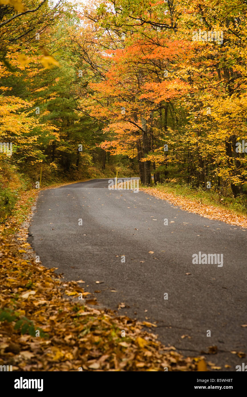 Fall Run Road A road running through the mountains in the fall Stock Photo - Alamy
