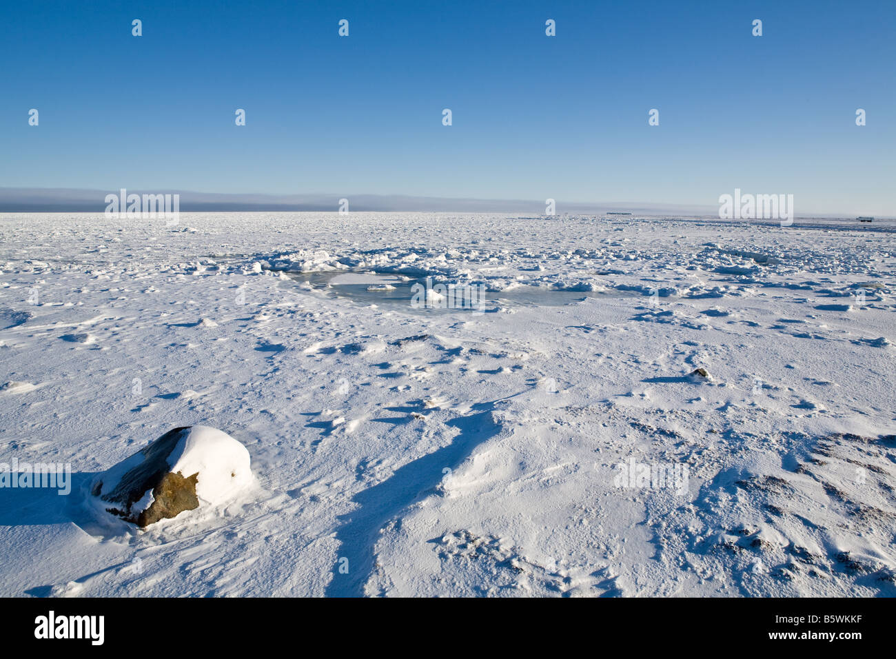 Snow swept view of a frozen Hudson Bay from the shores of Wapusk National Park, Manitoba, Canada Stock Photo