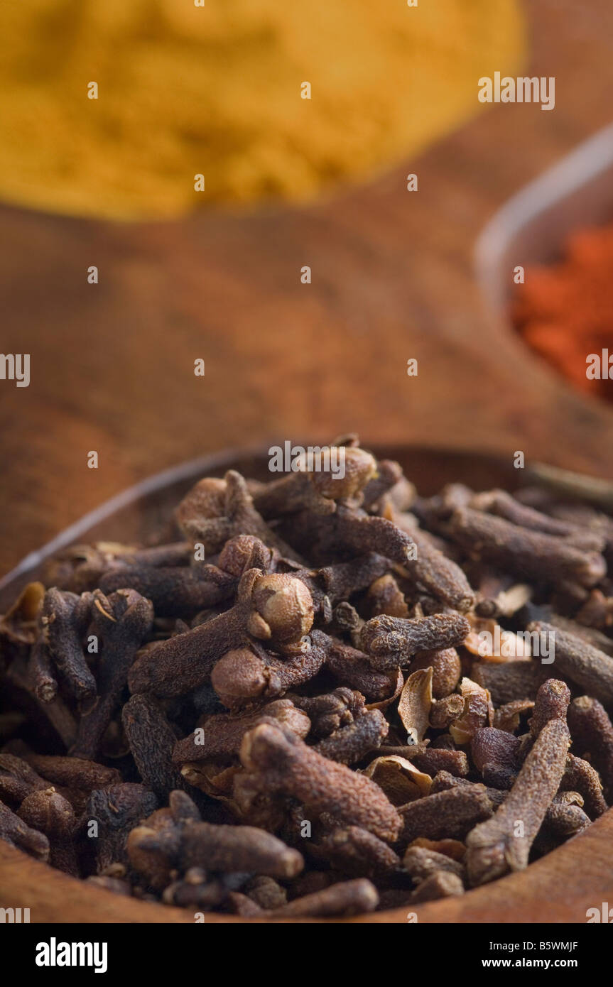 Closeup of cloves in a spice container Stock Photo Alamy