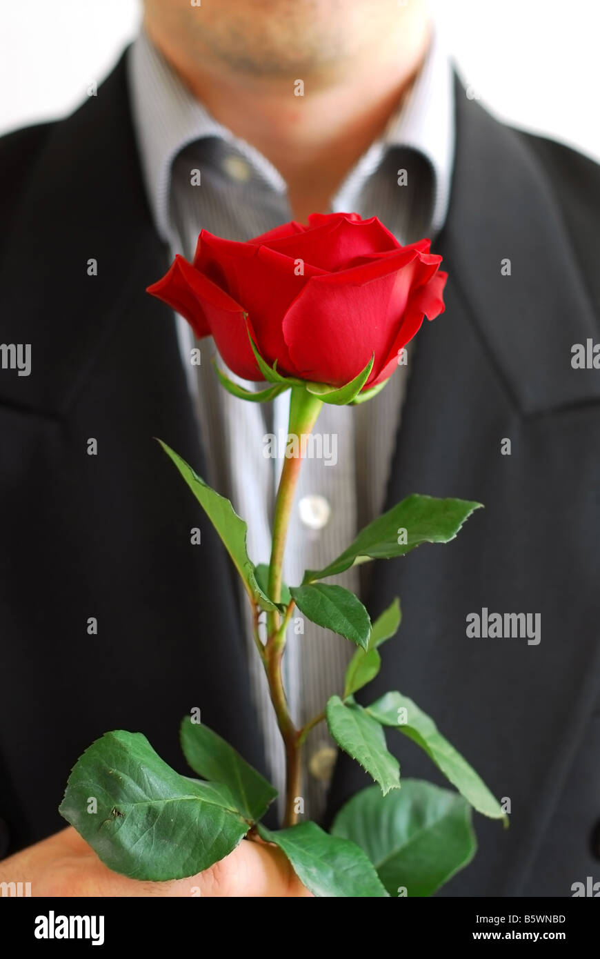 Man in black suit holding a red rose Stock Photo - Alamy