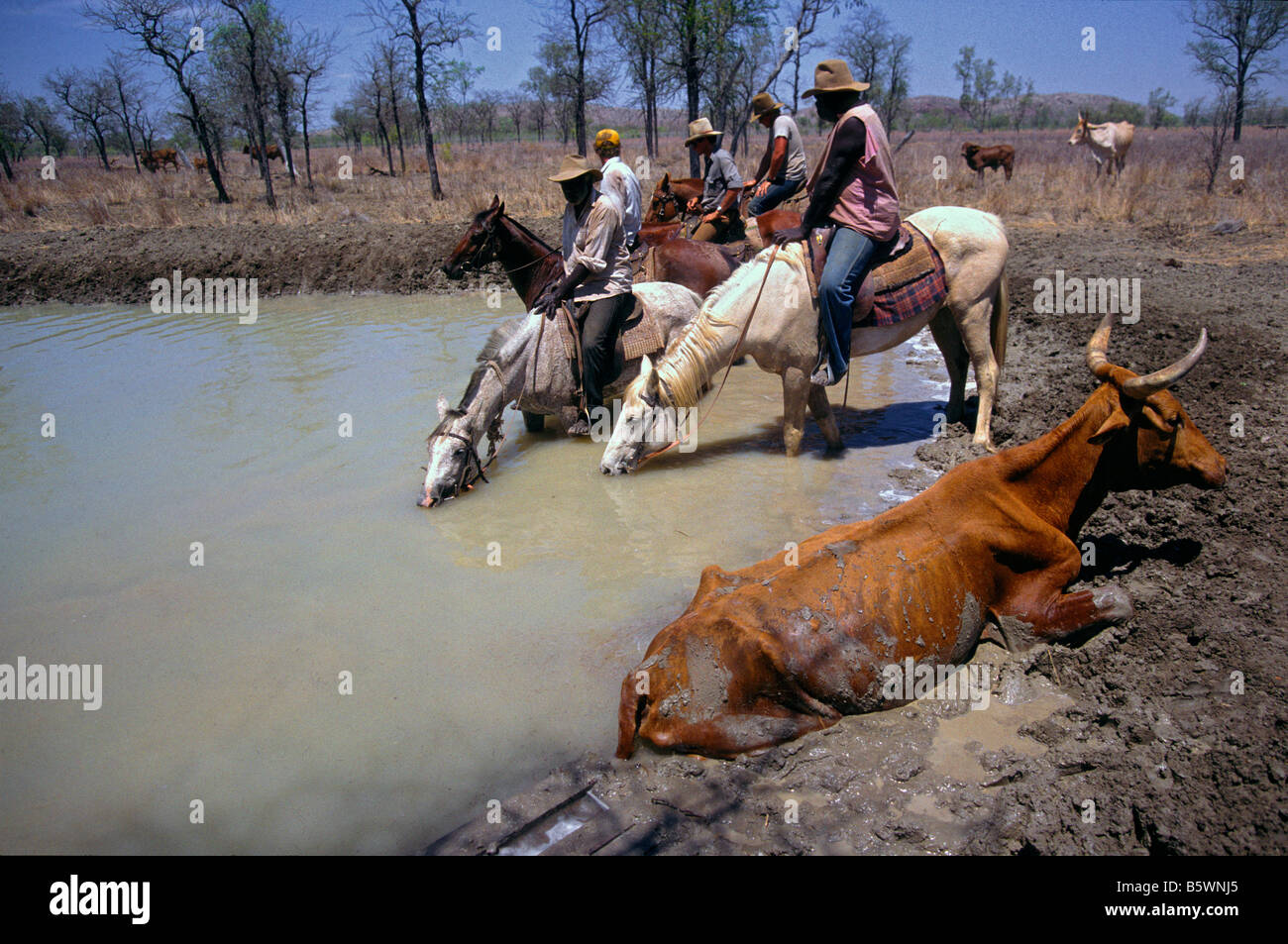 Aboriginal stockmen, outback Australia Stock Photo