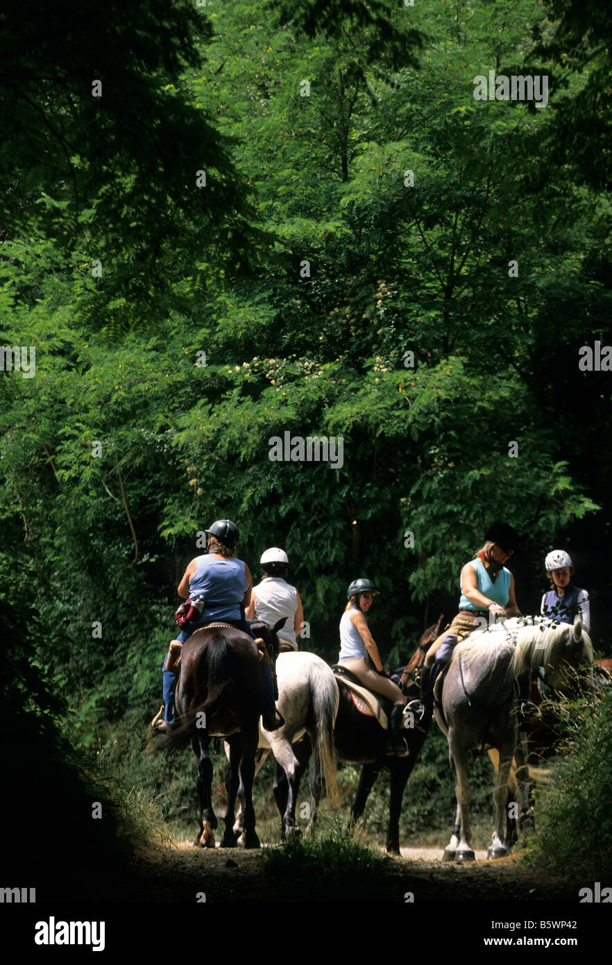 Excursions on horseback  Val di Merse  Tuscany  Italy Stock Photo