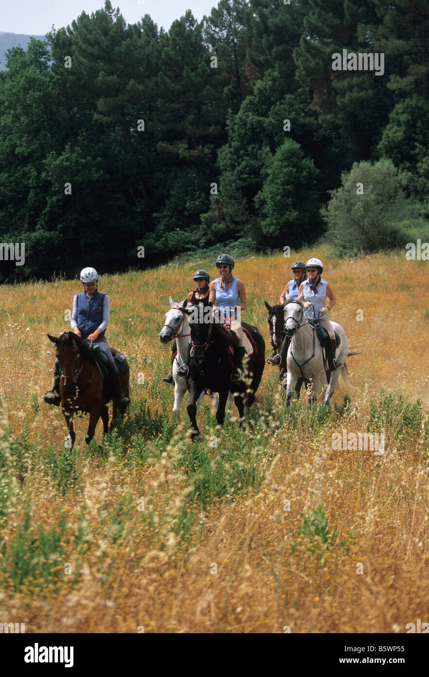 Excursions on horseback  Val di Merse  Tuscany  Italy Stock Photo
