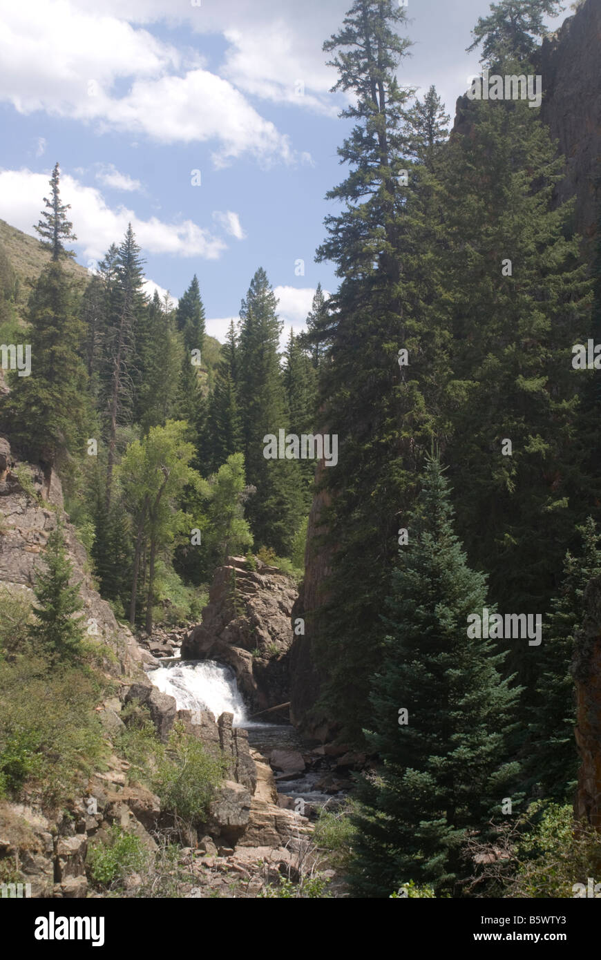Medicine Bow National Forest Stock Photo Alamy