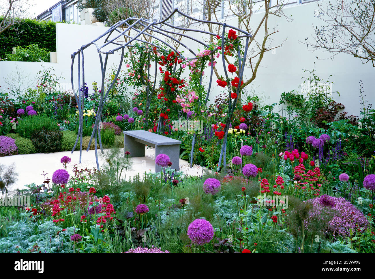Red and Purple flowering walled garden at Chelsea Stock Photo
