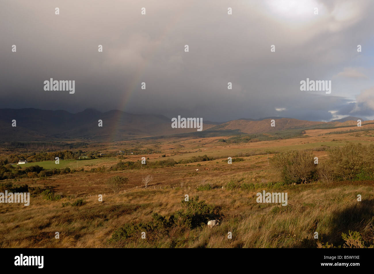 Irish Rainbow - John Gollop Stock Photo