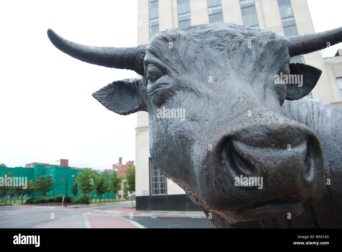Bronze sculpture of a bull on the Central Carolina Bank Plaza in