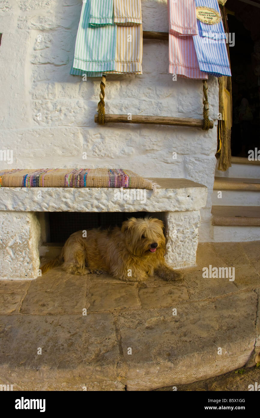 Watching passers-by in Alberobello, Puglia Italy Stock Photo