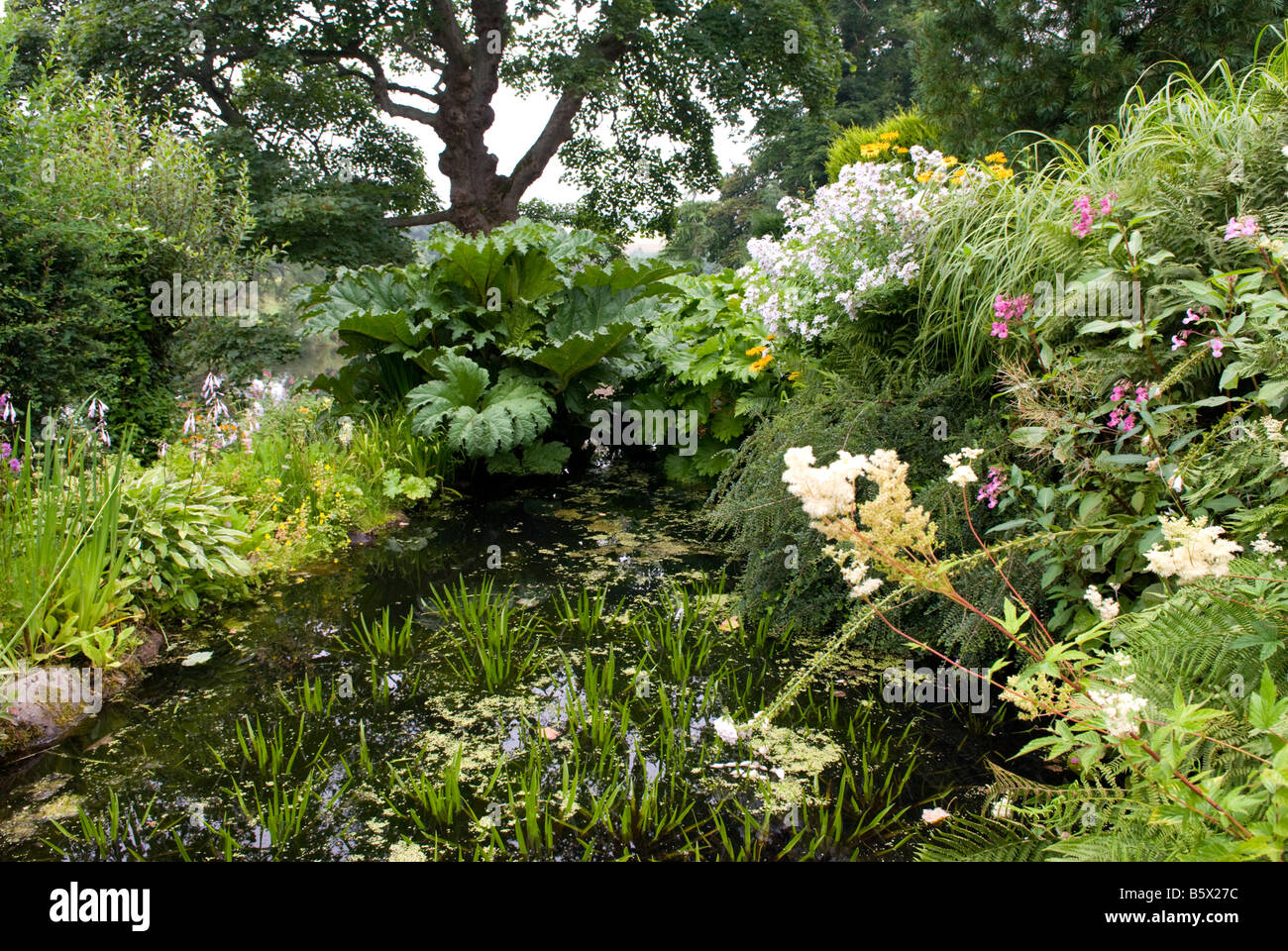 Water Gardens at the Teviot Smokery, Kelso, Scotland, UK Stock Photo ...