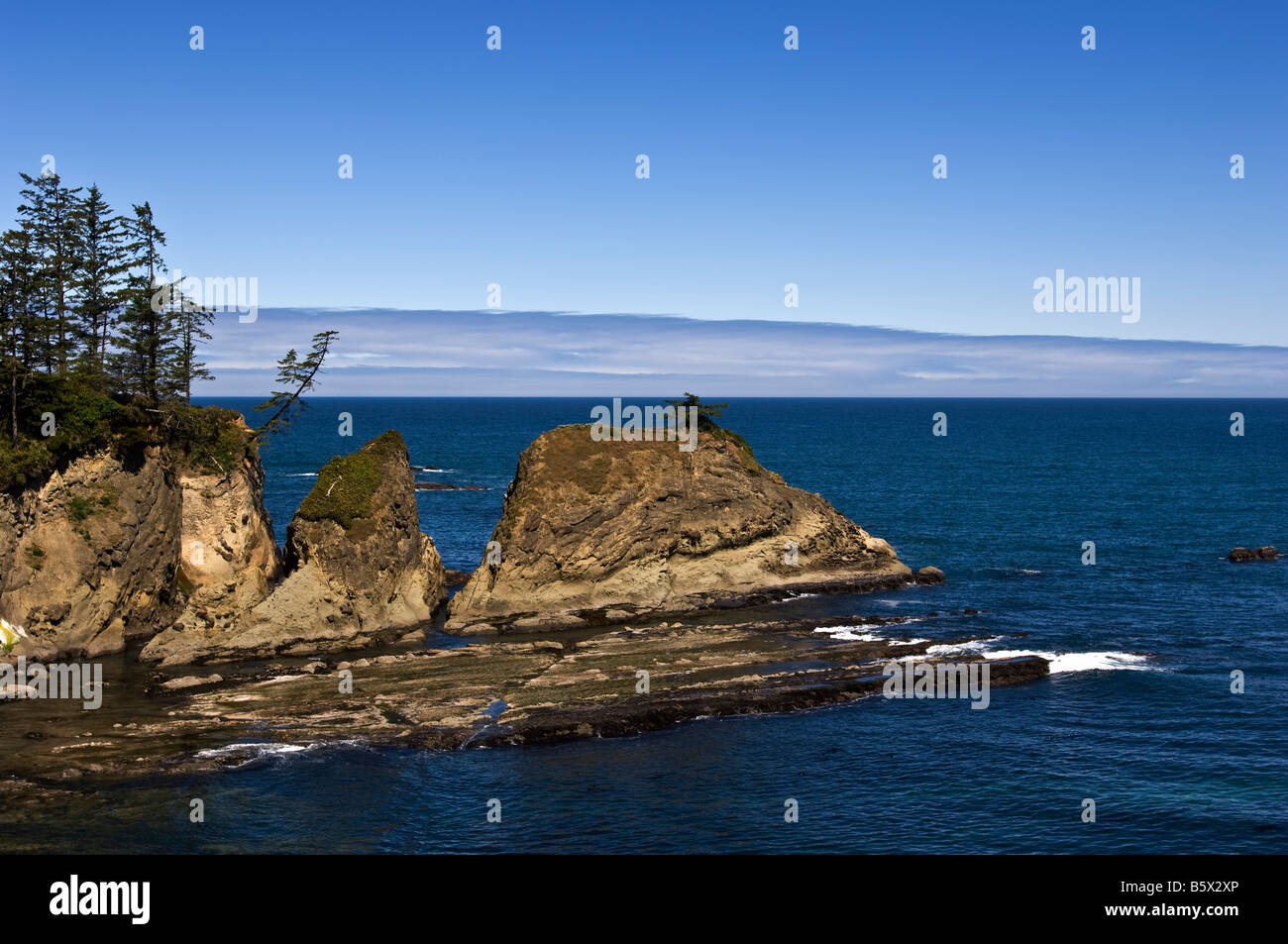 pacific ocean along oregon coast Stock Photo Alamy