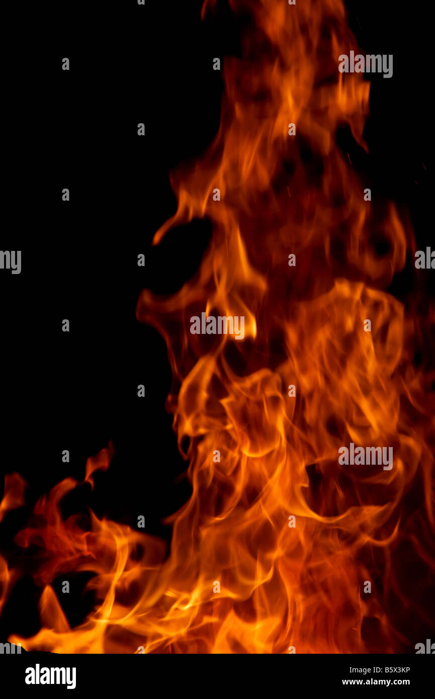 Burning of a tree it is very bad but beautiful Stock Photo Alamy