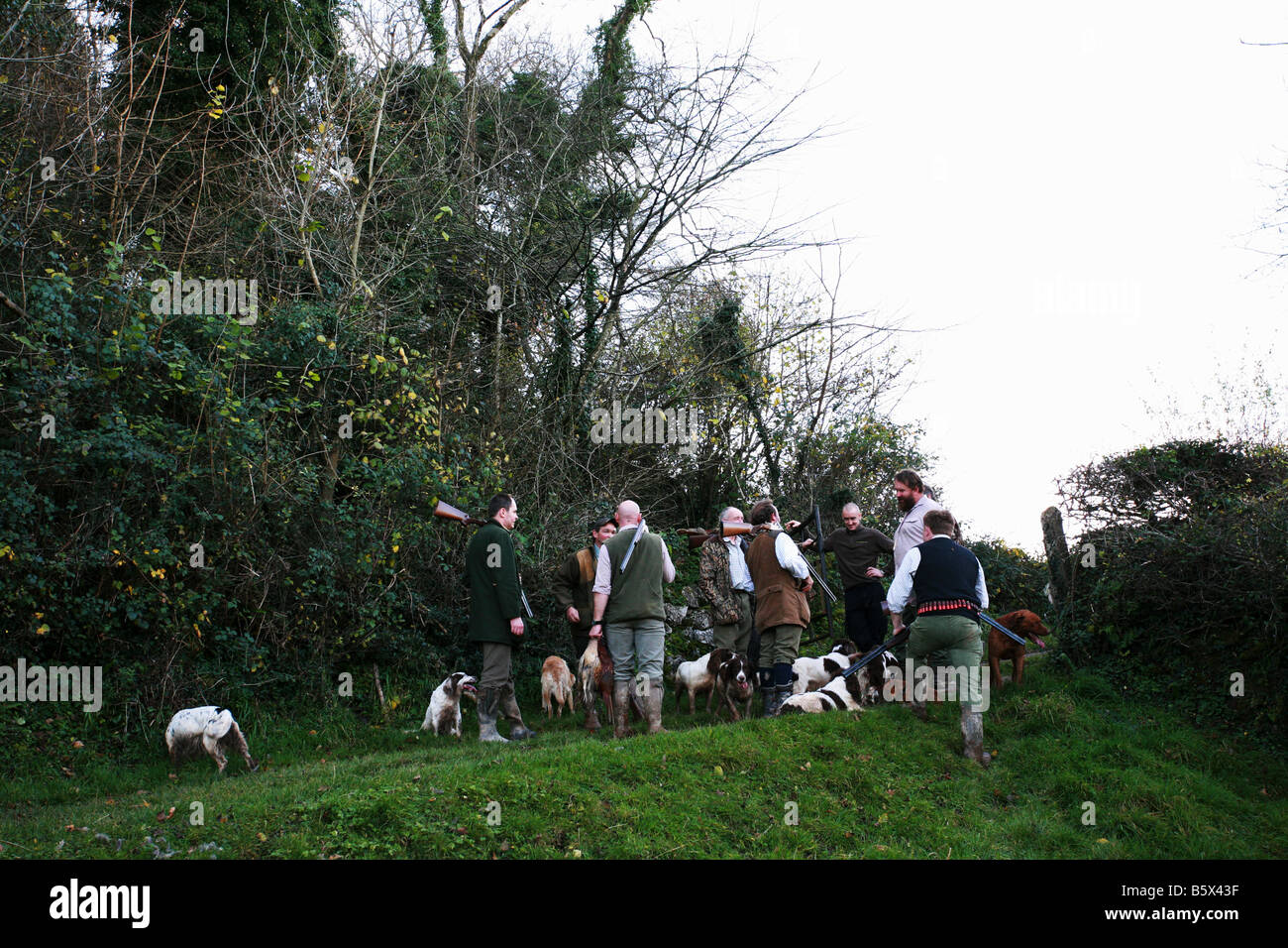 An organised driven game bird hunt assembles with pack of working dogs