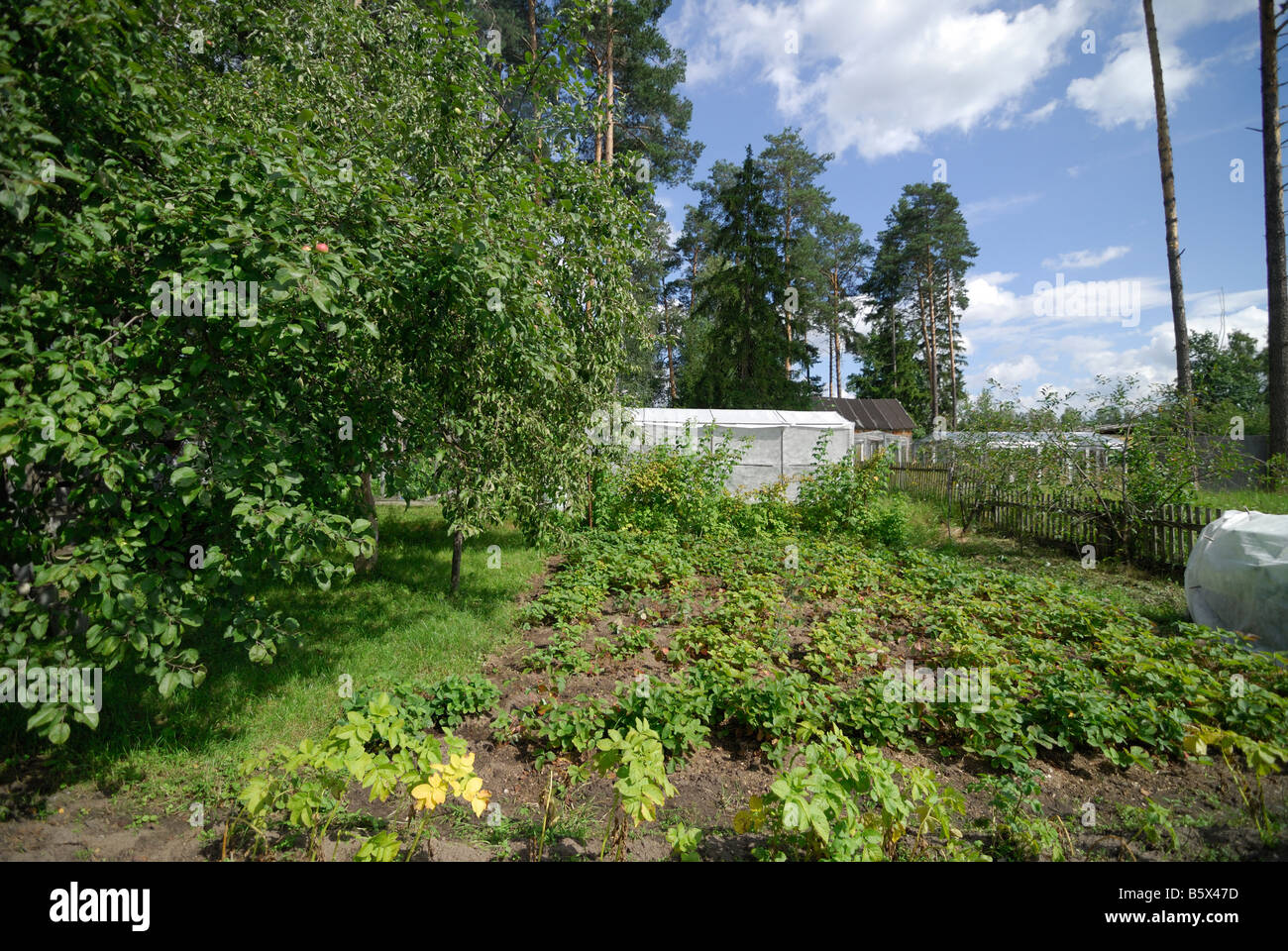 A garden dacha of Russian peasants Russia Stock Photo