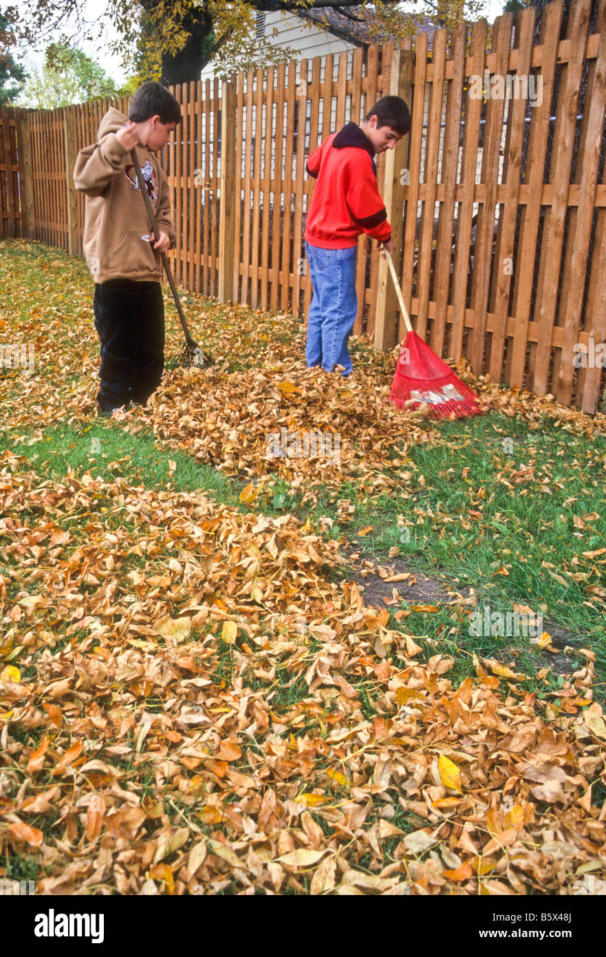 Brothers rake autumn leaves in Grand Forks, North Dakota, USA Stock Photo