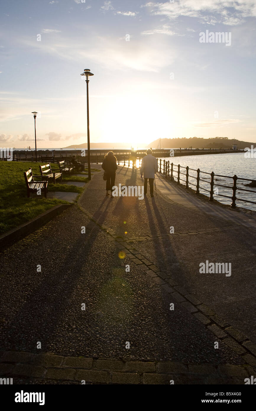 old man and woman walking into sunset with dog. long shadow. shadows. by the sea, water Plymouth, Devon, Southwest, UK Stock Photo