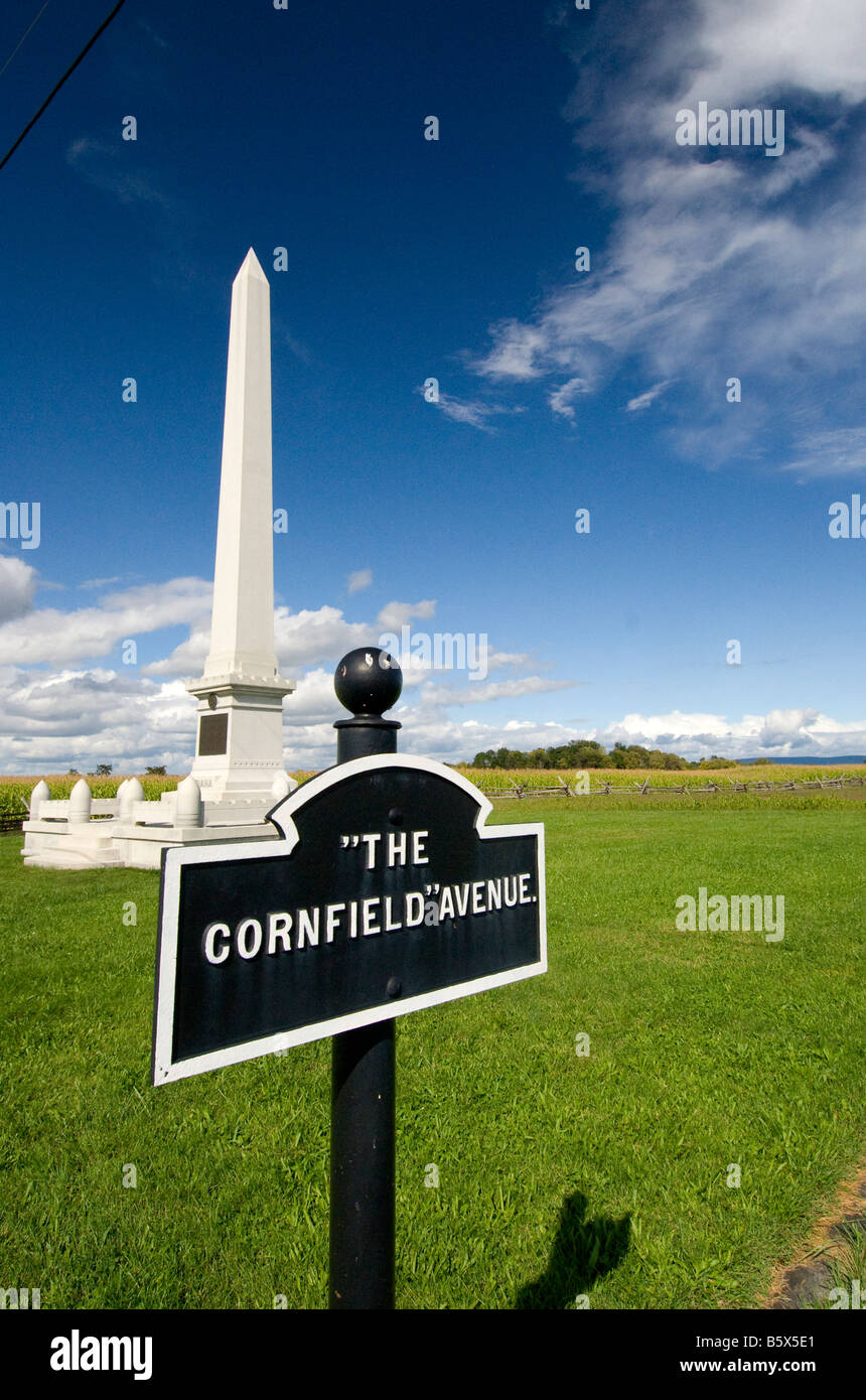 The Corn Field battle site at Antietam National Battlefield, Maryland Stock Photo