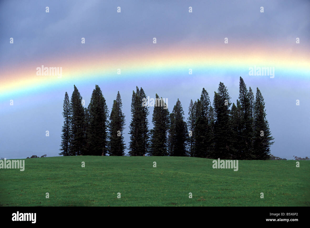 Rainbow and trees hi-res stock photography and images - Alamy