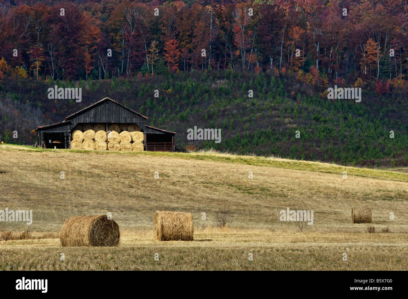 Barn Hay Bales and Autumn Hillside near Spring City Tennessee Stock Photo