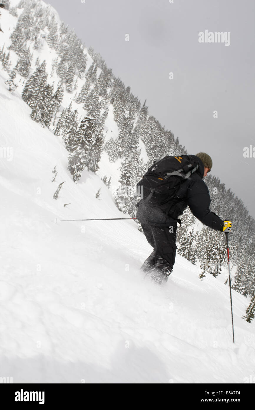 skiing backcountry powder in Whistler Stock Photo Alamy