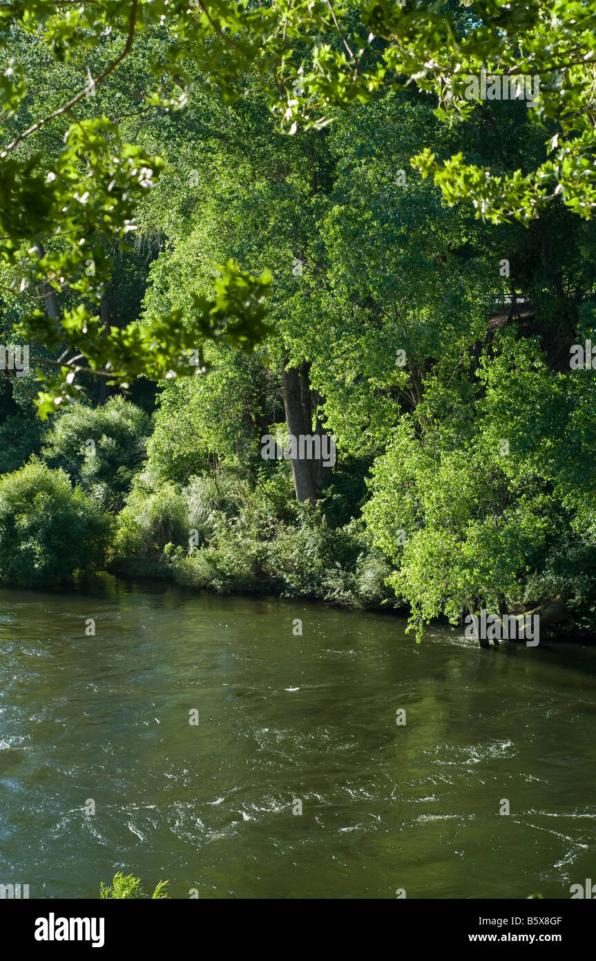 waikato river, Cambridge, new zealand Stock Photo