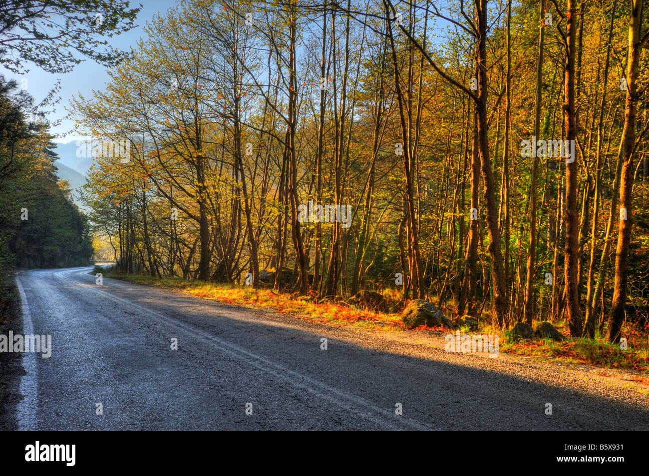 Road through mountainous forest Stock Photo