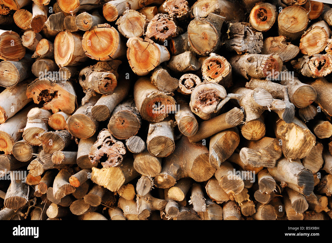 Stackly Logs Security logs hi-res stock photography and images - Alamy