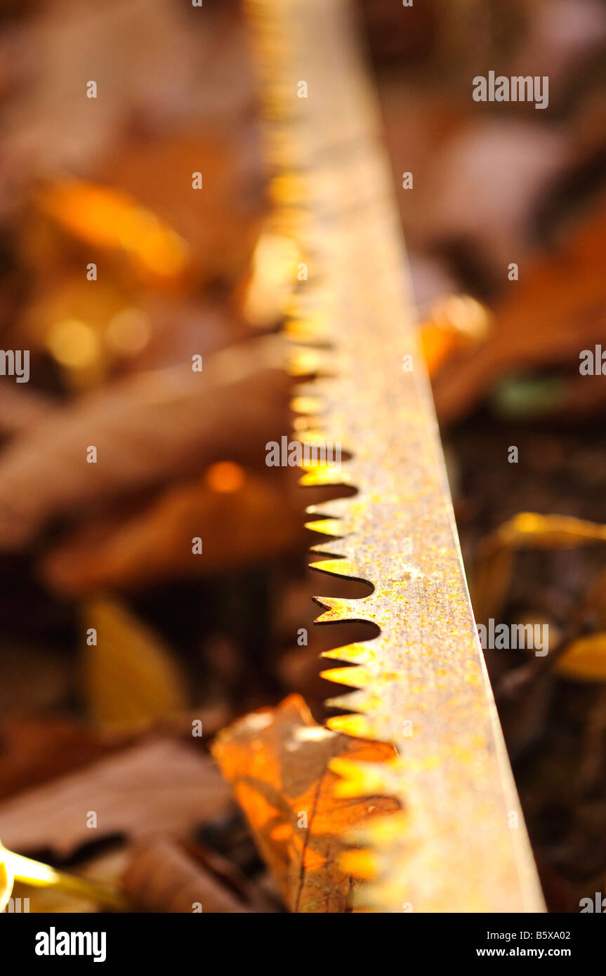 Rusted saw blade left outdoors Stock Photo