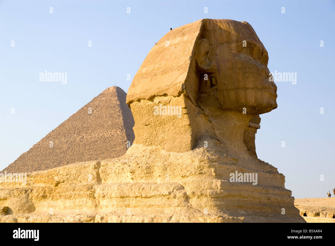 The Great Sphinx of Giza, Egypt Stock Photo