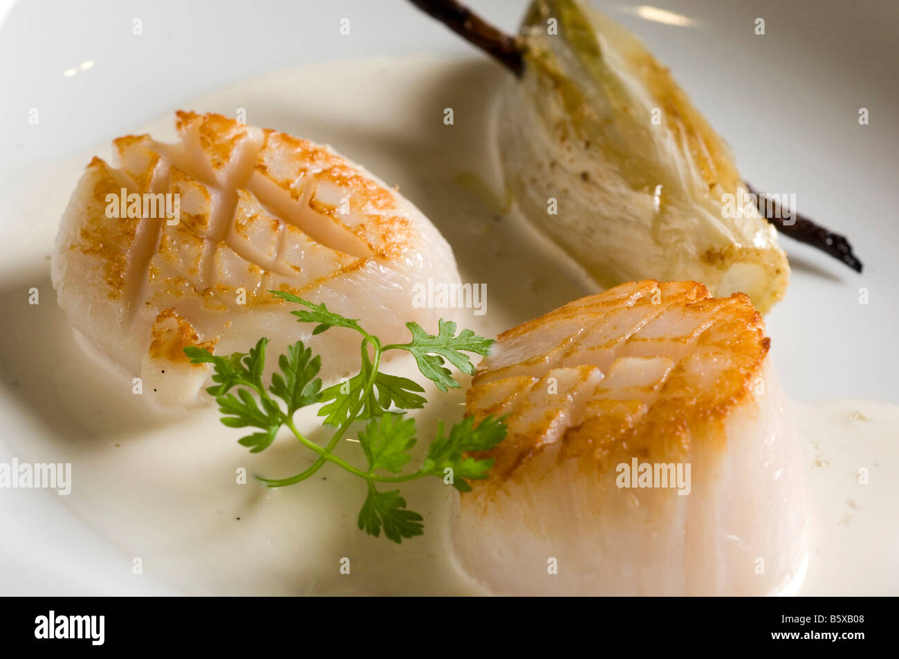 Razor-shells  Filippo Chiappini chef  Antica Osteria del Teatro restaurant  Piacenza  Emilia Romagna  Italy Stock Photo