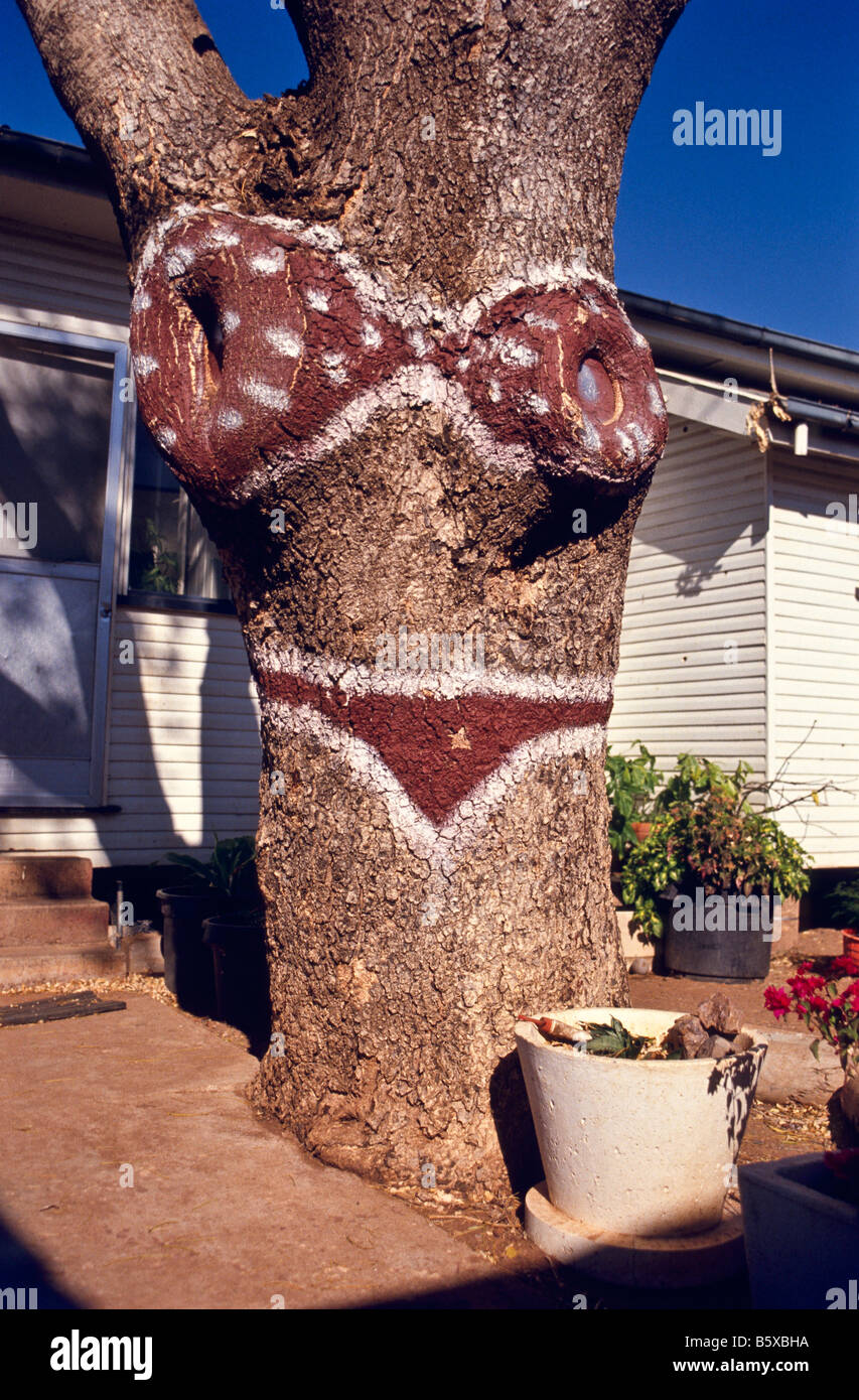 Bikini tree, outback Australia Stock Photo