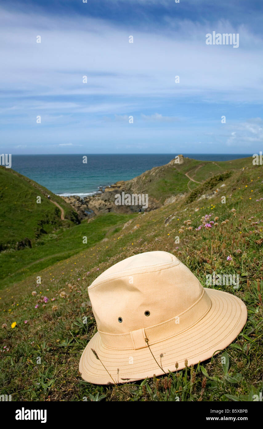 hat covering clovers after rev c a johns who could cover 8 species with his hat caerthillian cove Stock Photo