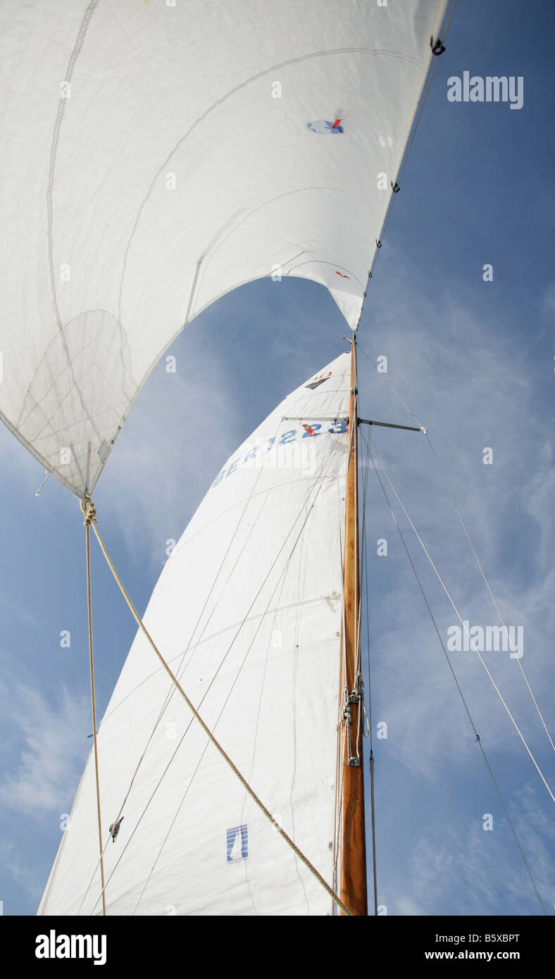 Mainsail and headsail of a sailing boat Stock Photo Alamy