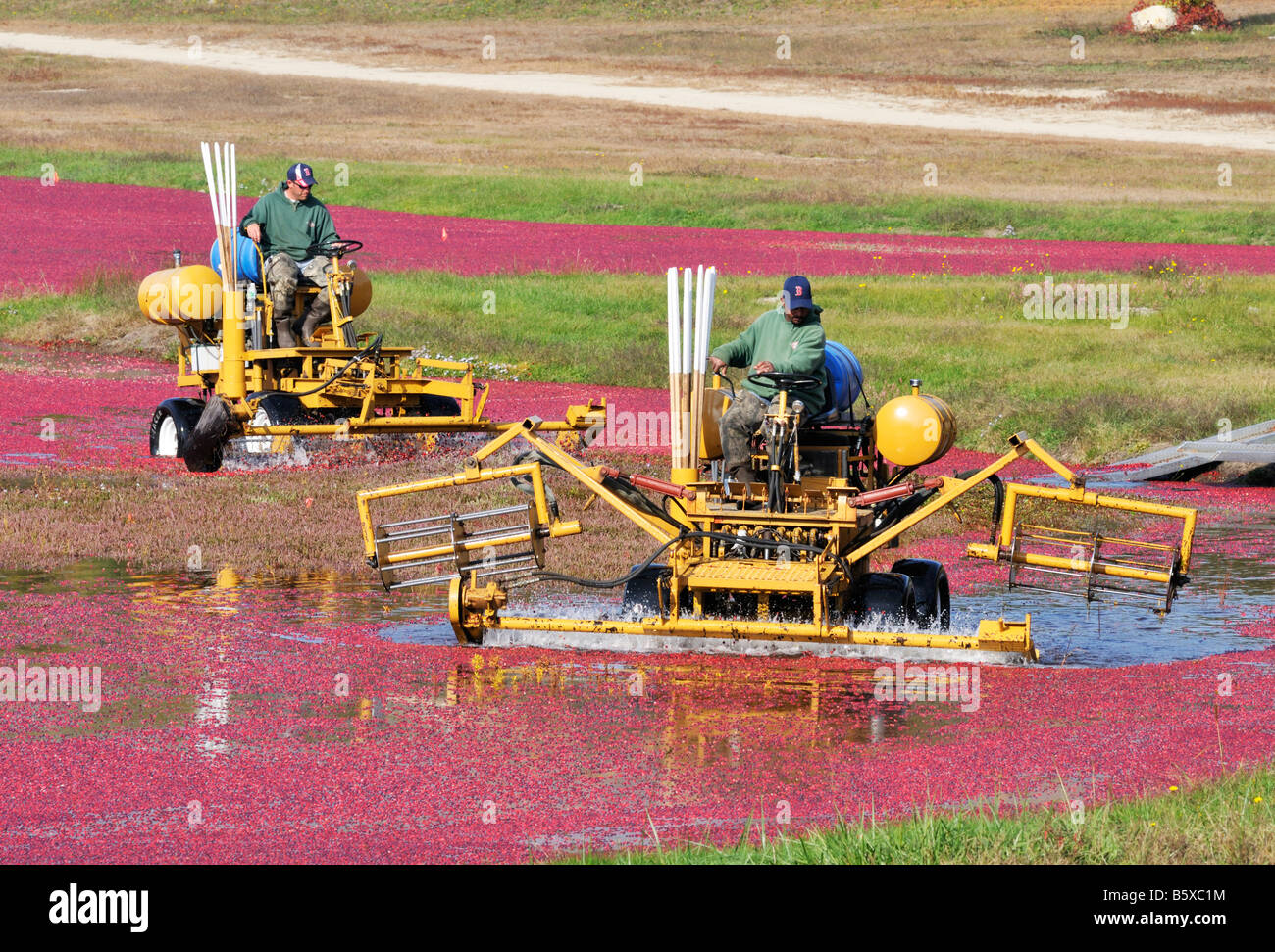 2 men on harvesting machines in flooded cranberry bog in New England in