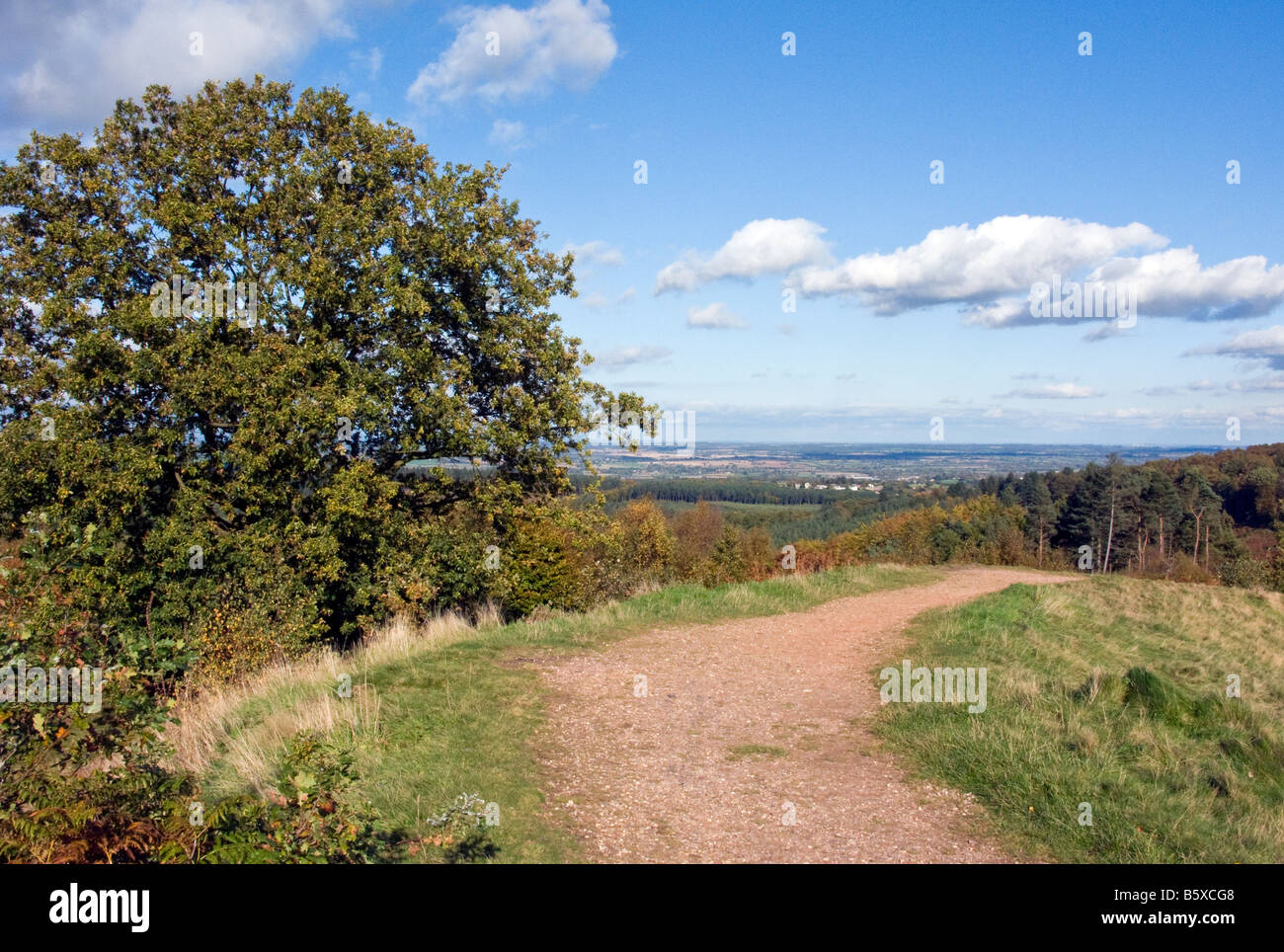 Rampart of Castle Ring Iron Age Hill Fort Cannock Wood Stock Photo Alamy