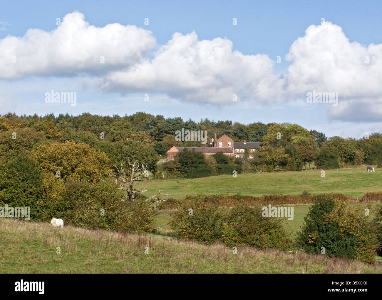 Scene rolling pastures of rural village of Cannock Wood with Park Gate