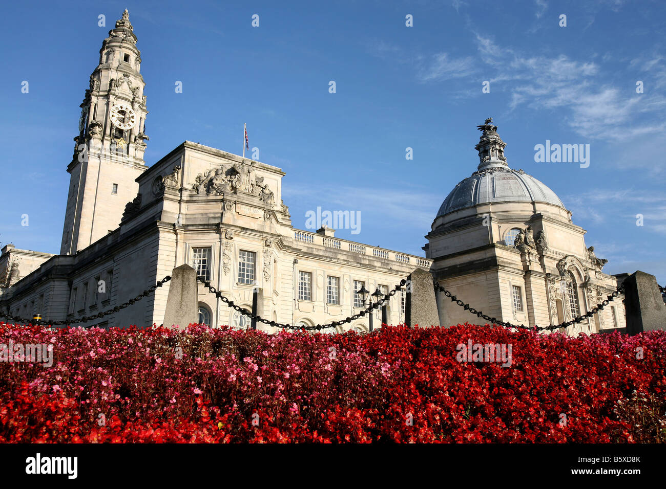 Winter flowers in front of City Hall Civic Centre Cardiff South Glamorgan South Wales Stock Photo