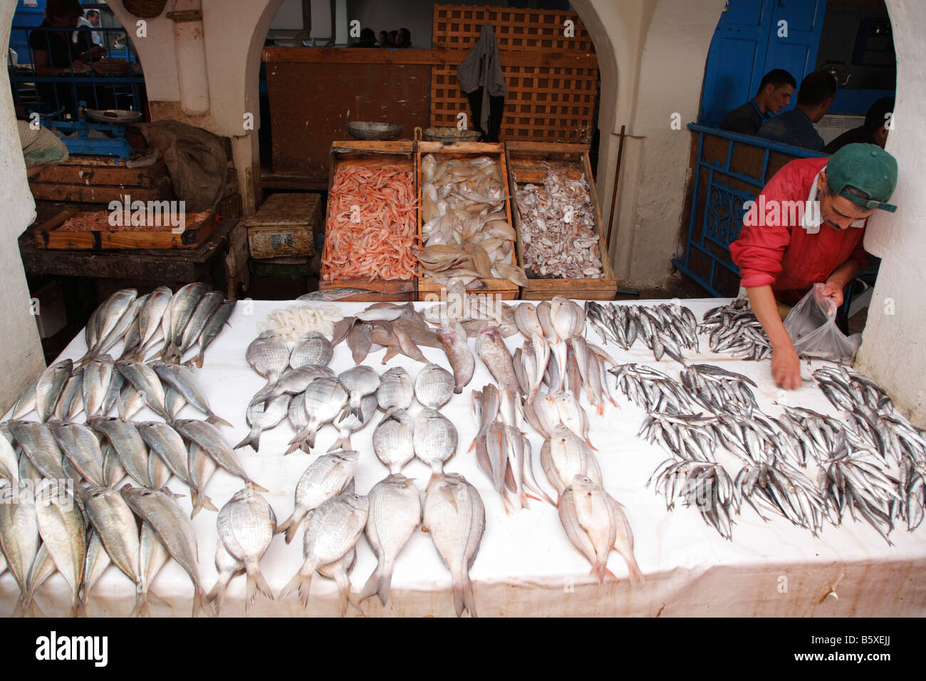 Essaouira Morocco Fish Stock Photos and Images - 123RF