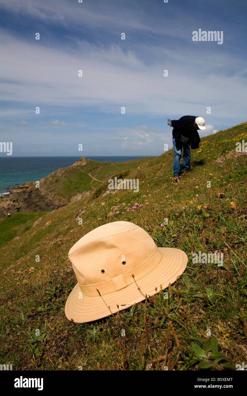 hat covering clovers after rev c a johns who could cover 8 species with his hat at caerthillian cove cornwall Stock Photo