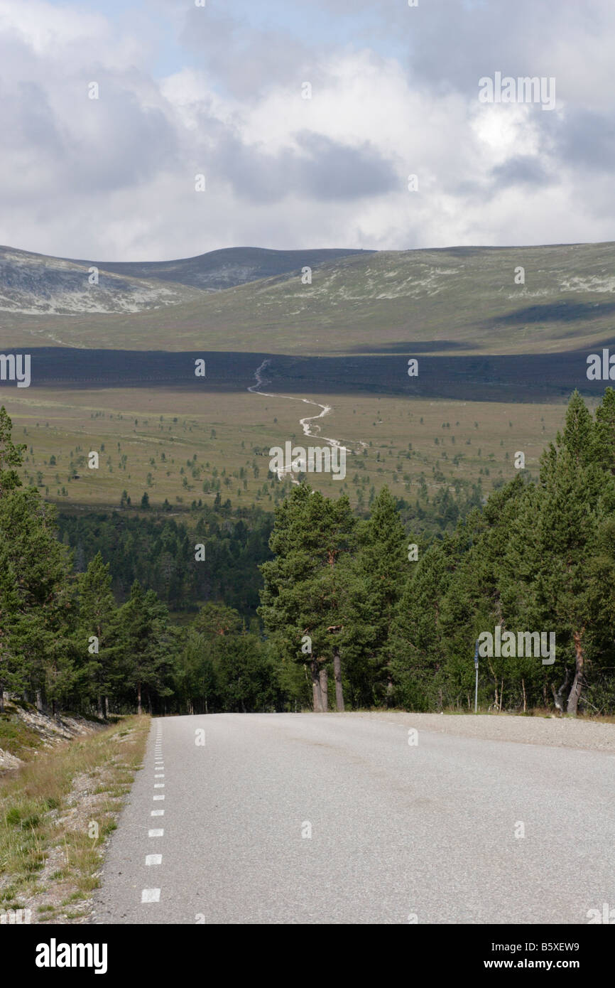 Road in Sweden, leading into the wilderness. This was taken in Dalarna on the edge of Rogens Naturreservat near Grövelsjön. Stock Photo