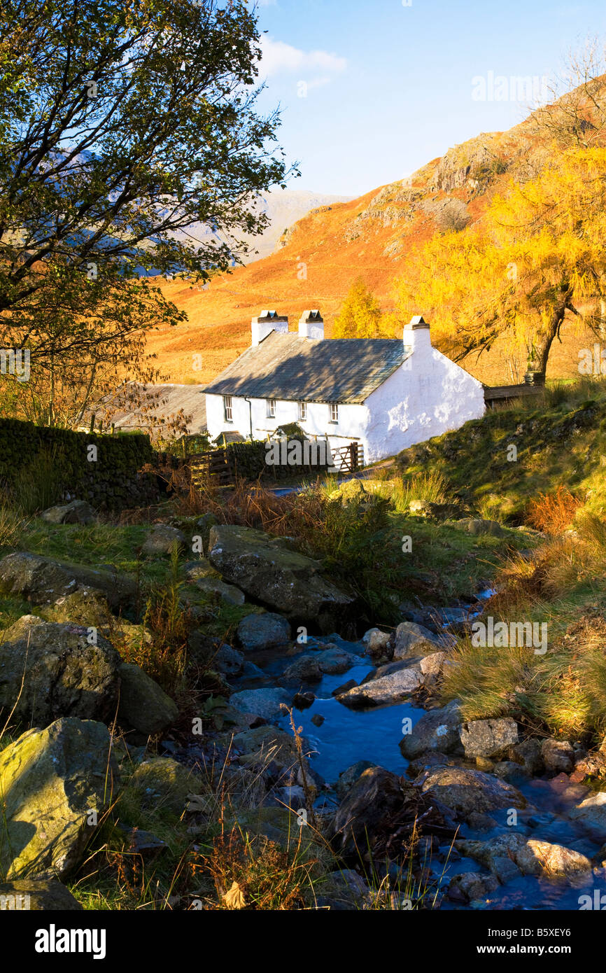 Whitewashed stone cottage farmhouse by stream in Lake District taken in autumn near Blea Tarn, Cumbria, England, UK Stock Photo
