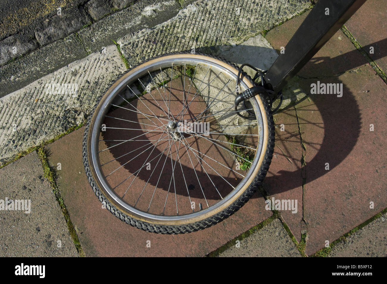 A bike wheel tethered to a post. The rest of the bike has been stolen