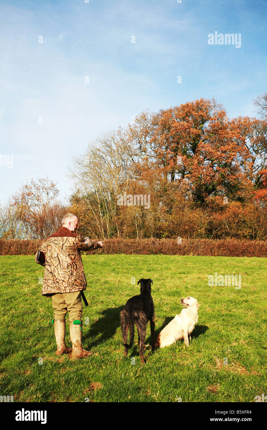 Game bird hunter holds shot gun and points working dogs towards autumn